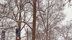 Sneg pobelil prestolnico: takšno idilično Ljubljano smo danes ujeli na sprehodu po mestu (FOTO)