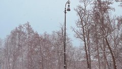 Sneg pobelil prestolnico: takšno idilično Ljubljano smo danes ujeli na sprehodu po mestu (FOTO)