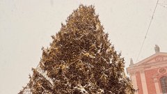 Sneg pobelil prestolnico: takšno idilično Ljubljano smo danes ujeli na sprehodu po mestu (FOTO)