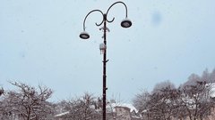 Sneg pobelil prestolnico: takšno idilično Ljubljano smo danes ujeli na sprehodu po mestu (FOTO)