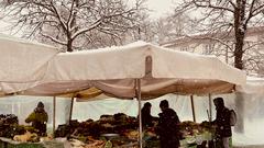 Sneg pobelil prestolnico: takšno idilično Ljubljano smo danes ujeli na sprehodu po mestu (FOTO)