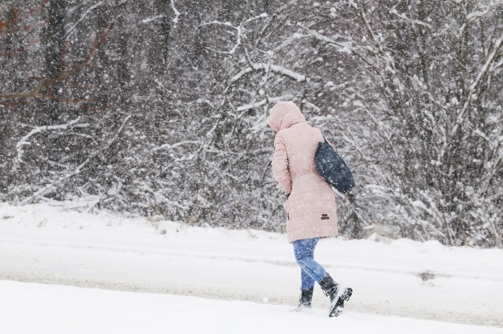 Kako dolgo bo še snežilo!? To napoveduje Arso (foto: Borut Živulović/Bobo)