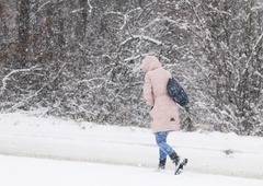 Kako dolgo bo še snežilo!? To napoveduje Arso