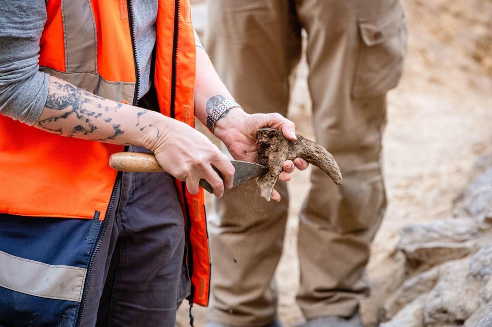 Pred gradnjo vetrne elektrarne prekopali polje in obnemeli: našli nekaj, za kar nihče ni vedel, da je sploh obstajalo (foto: Profimedia)