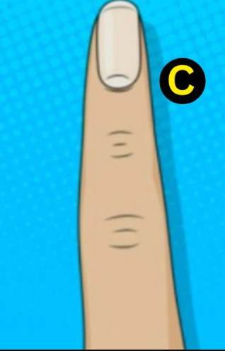 C Če imate koničaste prste, vaše osebnostne lastnosti razkrivajo ustvarjalno in intuitivno naravo. Prsti, ki se zožujejo v konico, nakazujejo, …