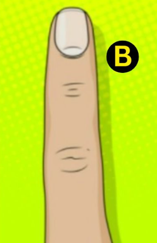 B Če imate ravne prste, vaše osebnostne lastnosti kažejo na občutek ravnovesja in zanesljivosti. Ljudje vas dojemajo kot stabilno in …