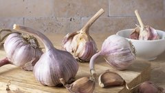 česen strok česna spanec