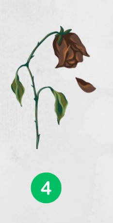 Oveneli cvet Oveneli cvet predstavlja prehod iz veličine v težke čase kot neizogiben del življenja. Je simbol stanja med preteklim …