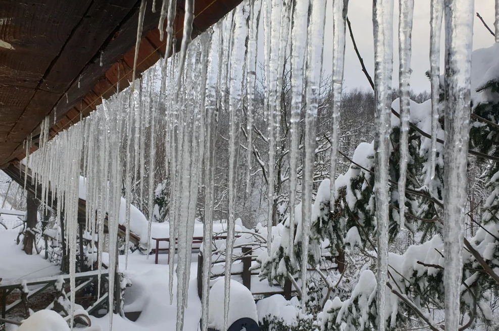 Slovenec z zimsko fotografijo navdušil splet: "Kdaj ste nazadnje videli ..." (foto: Reddit/posnetek zaslona)