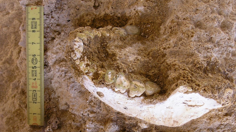 maroko casablanca jama arheologija zgodovina odkritje