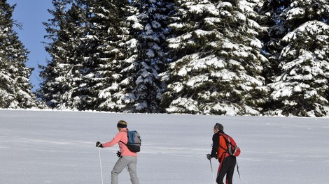"Šajba!" Kaj se skriva za nenavadnim izrazom, s katerim bi lahko opisali popoln zimski dan