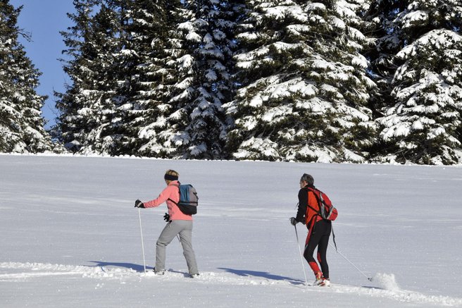 "Šajba!" Kaj se skriva za nenavadnim izrazom, s katerim bi lahko opisali popoln zimski dan