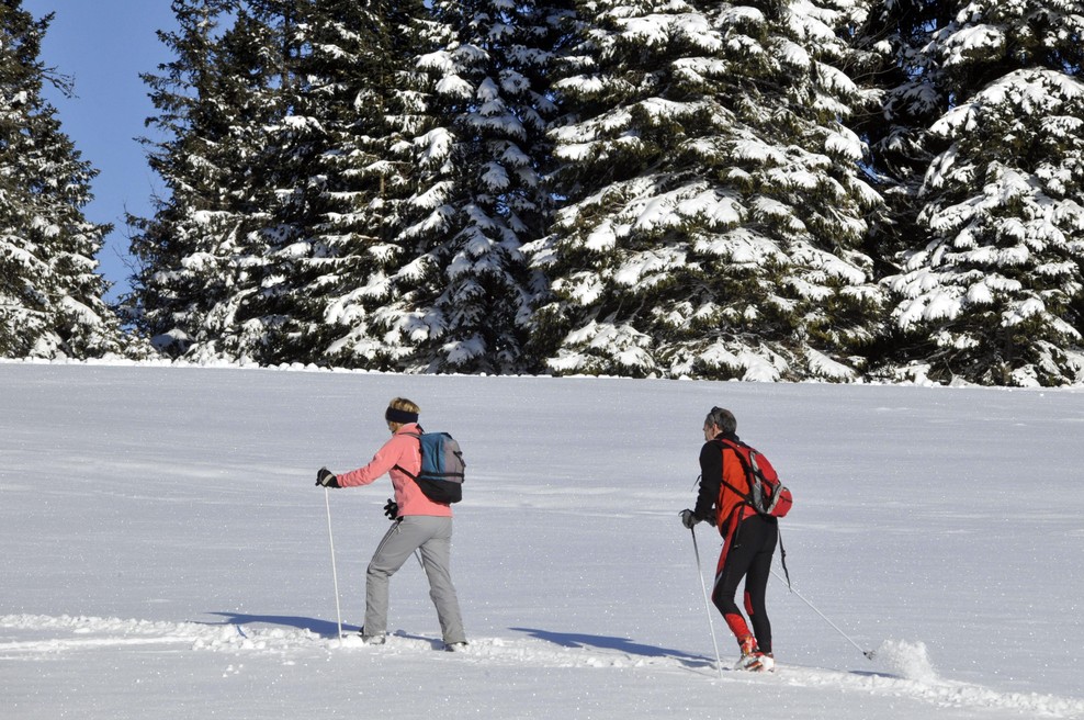 "Šajba!" Kaj se skriva za nenavadnim izrazom, s katerim bi lahko opisali popoln zimski dan (foto: Žiga Živulovič jr./Bobo)
