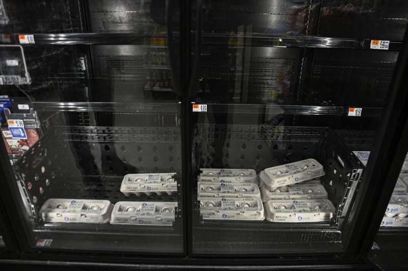 jajca trgovina prazno ponudba trgovine trgovci lidl spar aldi evropa