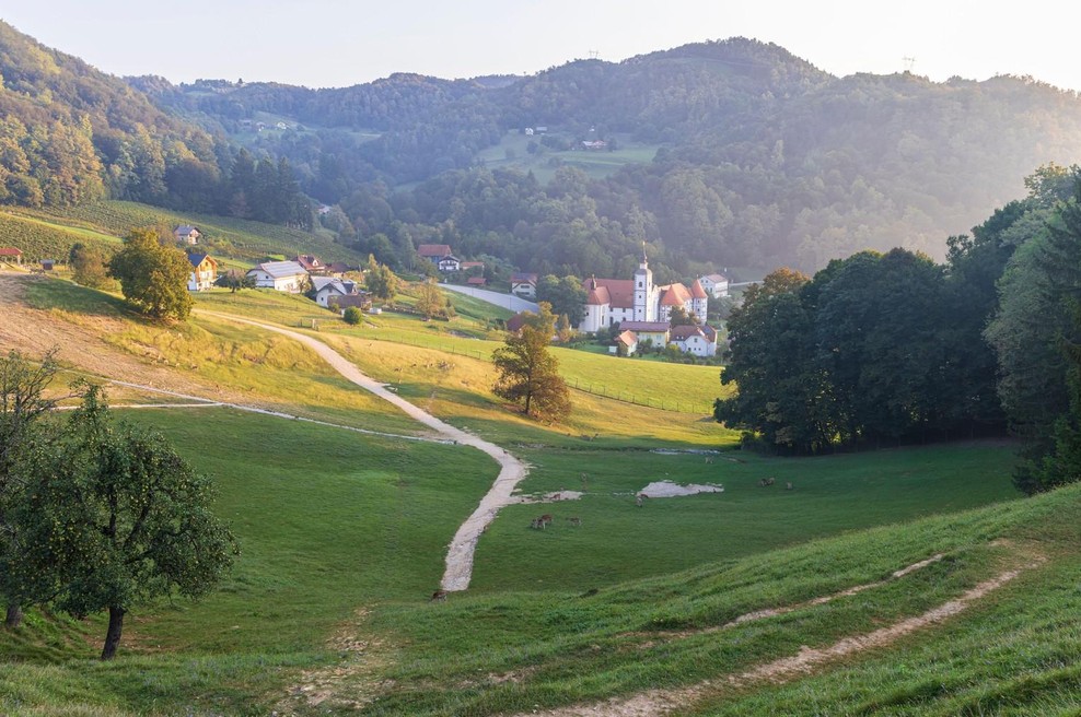 Slovenski gozd, v katerem boste srečali čarovnice. To še ni vse — po poti vam bodo mahali palčki (foto: Profimedia)