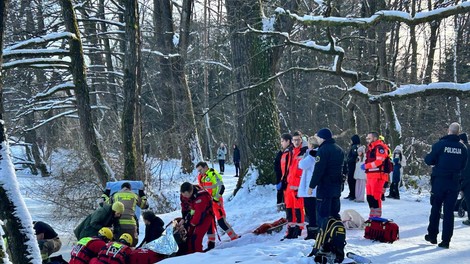 Reševalna akcija v Ljubljani: v Koseški bajer sta padli dve osebi (FOTO)