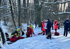 Reševalna akcija v Ljubljani: v Koseški bajer sta padli dve osebi (FOTO)