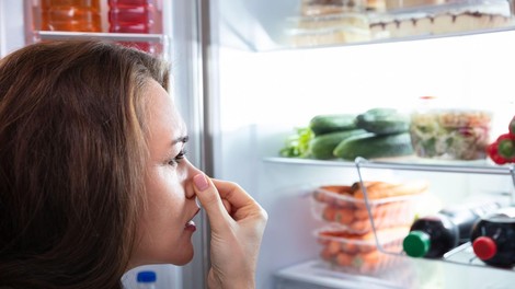 hladilnik sadje hrana