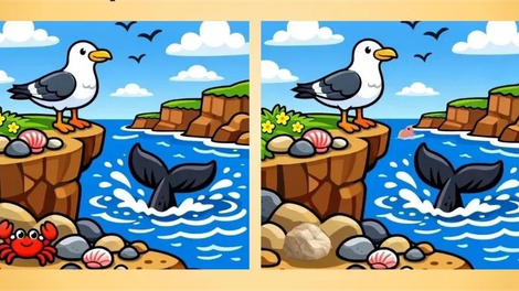 Dobro si oglejte sliki: če najdete 3 razlike med njima, imate neverjetno dober vid