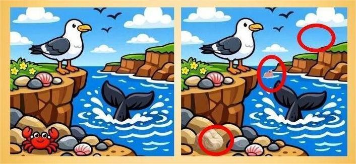 Razkrivamo vse razlike: 1. Na levi sliki je rak na skalah v spodnjem levem kotu, medtem ko ga na desni …