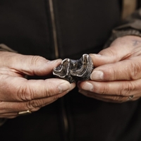 volnati nosorog zgodovina najdba nosorog volk zivali preteklost odkritje