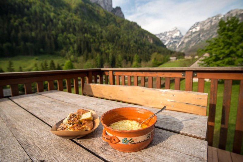 Solcava narava zajtrk