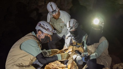 gepard savdska arabija  mumija zgodovina najdba arheologija znanost clovestvo odkritje