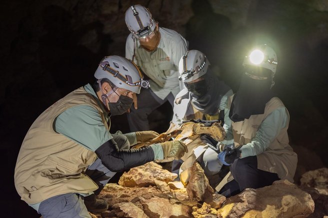 gepard savdska arabija  mumija zgodovina najdba arheologija znanost clovestvo odkritje