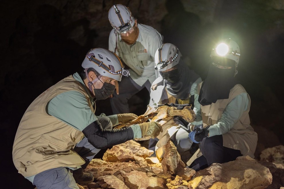 gepard savdska arabija  mumija zgodovina najdba arheologija znanost clovestvo odkritje
