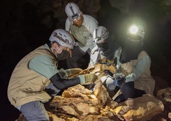Zaprepadeni znanstveniki v jamah naleteli na presunljivo najdbo: odkritje, ki bi lahko vrnilo izgubljeno vrsto na Zemljo!