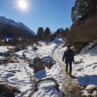 moski koraki hoja gibanje 25000 dni rekreacija rezultati presenecenje