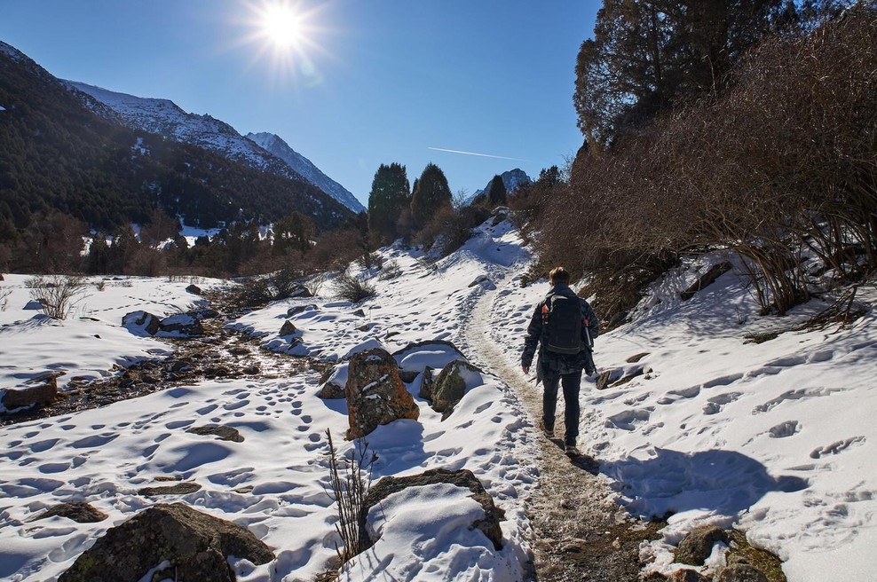 V 7 dneh prehodil kar 250.000 korakov: želel preveriti, kakšen učinek ima hoja na telo, rezultat ga je pustil brez besed (foto: Profimedia)