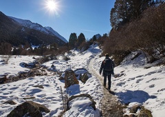 V 7 dneh prehodil kar 250.000 korakov: želel preveriti, kakšen učinek ima hoja na telo, rezultat ga je pustil brez besed