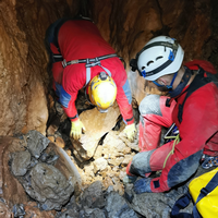 Jamarji, Sežana, najdba, kosti, Pecova jama