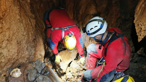 Jamarji, Sežana, najdba, kosti, Pecova jama