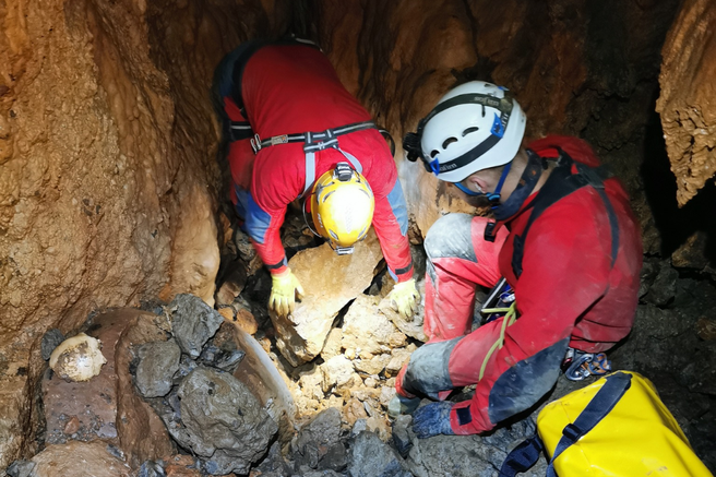 Jamarji, Sežana, najdba, kosti, Pecova jama