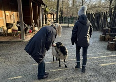 Zimske skrivnosti živalskega vrta — kdo spi in kdo je še bolj živahen (FOTO)