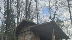 ZOO Ljubljana zivalski vrt severni jeleni