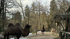 ZOO Ljubljana zivalski vrt