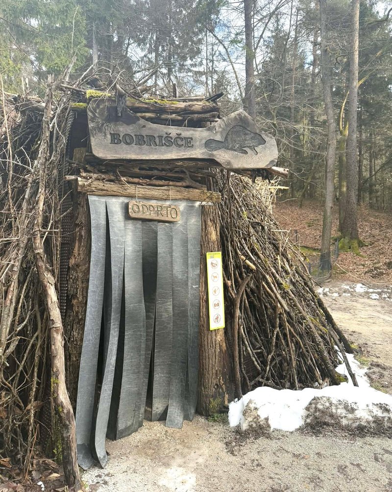 ZOO Ljubljana bobri bobrisce