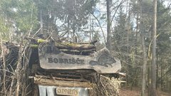 ZOO Ljubljana bobri bobrisce