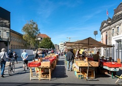 Na bolšjaku je nevede kupila nekaj, kar se je izkazalo za pravi zaklad: zanje je odštela manj kot 1 evro, a na koncu je dobila ...