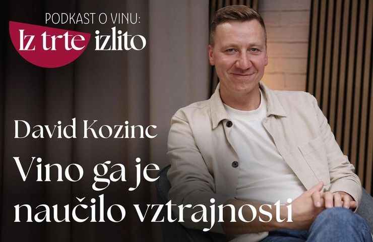 Vinar David Kozinc: Iz francoskih vinogradov v domač, dolenjski terroir