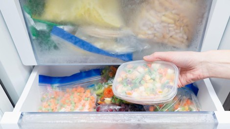 zamrzovalnik zmrznjena hrana