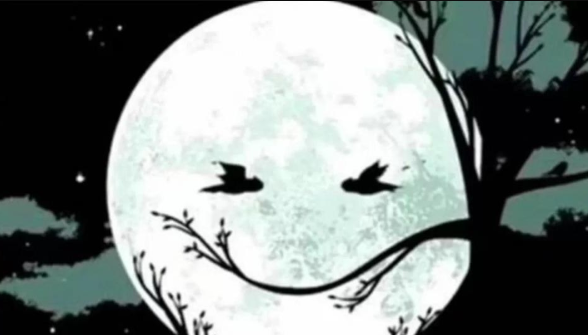 Pred vami je zanimiva slika. Kaj najprej opazite na njej? Kliknite naprej, da izveste več ...