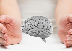 Znanstveniki opazovali človeške možgane in prišli do neverjetnega odkritja, ki je osupnilo vse