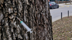 nevaren predmet, Ljubljana