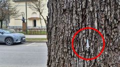 nevaren predmet, Ljubljana