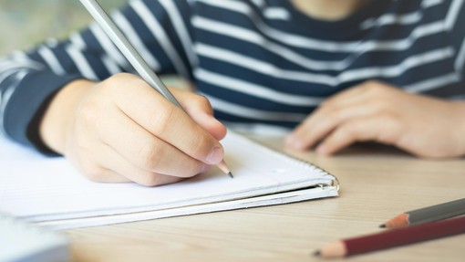 Naslednji teden se bo odločalo o usodi slovenskih šolarjev