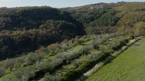 Samo en planet projekt pesem